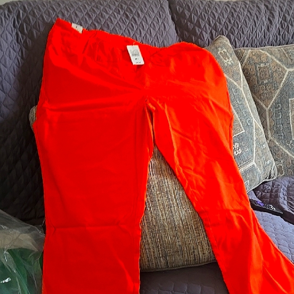 Ashley Stewart Vibrant Orange Pants